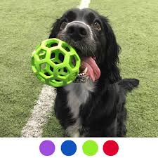 jw hol ee roller net ball for your dog