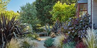 Garden And Landscaping Trends Of 2023