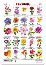 small wall chart flowers