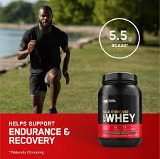 gold standard 100 whey protein powder