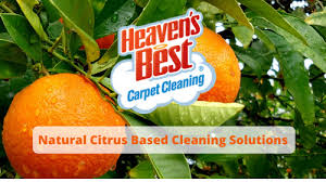 heaven s best carpet cleaning camas