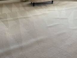 carpet cleaning inner west 02 3813