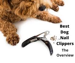 7 best dog nail clippers australia