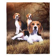 Beagle Blanket Dog Breed 50 X 60 Decorative - Etsy
