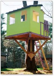 Kauri Tree House Plans Treehouse Guides