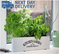 Herb Kitchen Garden Kit Indoor