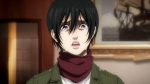 does eren mikasa