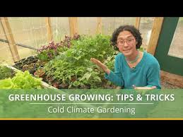 Grow Vegetables In A Greenhouse