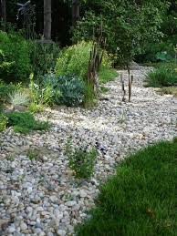 Why Gravel Gardens Are Better Than They