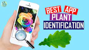 You just have to take a photo of a plant and they. Instant Plant Identification App Best App Test And Review Youtube