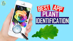 instant plant identification app best