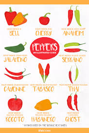All The Types Of Hot Peppers Youll Ever Want To Try Sheknows