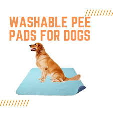 7 best washable pads for dogs review