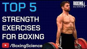 conditioning exercises for boxing