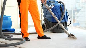 carpet cleaning businesses