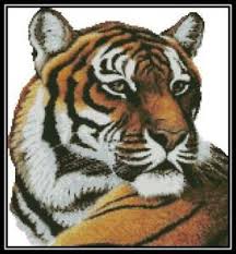 Details About Portrait Of A Bengal Tiger Cross Stitch Chart Pattern Design Xstitch