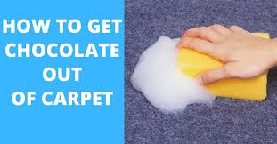 how to get chocolate milk out of carpet