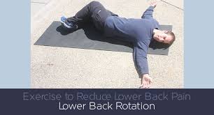 exercise to reduce lower back pain