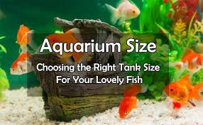 aquarium sizes 101 standard fish tank