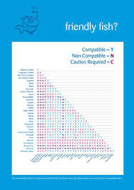 Petmania Tropical Fish Compatability Chart Who Can Live