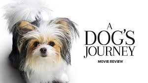 Take a look ahead at some of our most anticipated superhero movies coming in 2021 and beyond. A Dog S Journey Film Review Paying Tribute To Man S Best Friend