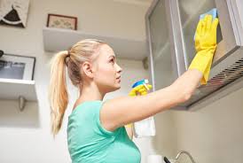 house cleaning services santa rosa