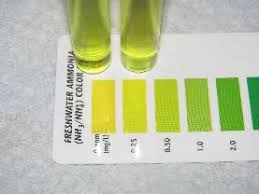 Api Freshwater Master Test Kit Freshwater Ammonia Color Chart