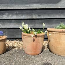 Medium Terracotta Garden Planter Home