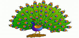 Coloring pages for children of all ages! Peacock Coloring Pages