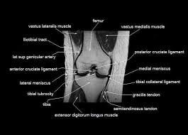 This section of the website will explain. Mri Knee Recent Advances In Medical Health Facebook