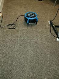 carpet cleaning near me salisbury md