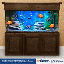 240 Gallon Aquarium - Custom Glass Fish Tank - Custom Aquariums gambar png