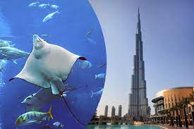 dubai aquarium combo ticket