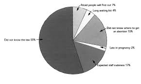 Pie Chart Of Reasons Why Women In Gauteng Province In South