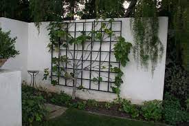 Garden Metalwork Long Lasting Trellis