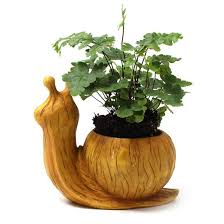 garden plant pots