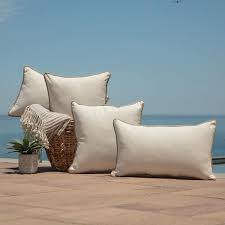 Indoor Outdoor Lumbar Pillow