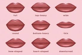 9 common lip shapes how to enhance