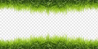 Green Bush Grass Herbaceous Plant