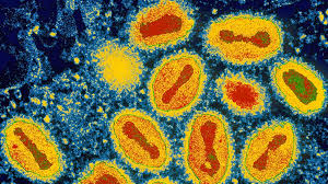 Đại gia đình vaccine của viruss :x ! The Deadly Viruses That Vanished Without Trace Bbc Future