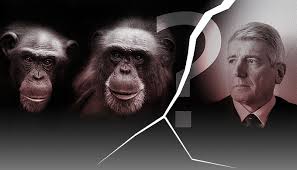 huge problem for ape human evolution