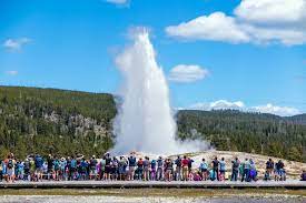 Yellowstone Trips gambar png