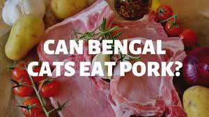 So, you might think it is a good idea to share it with your carnivorous cat. Can Bengal Cats Eat Pork Authentic Bengal Cats
