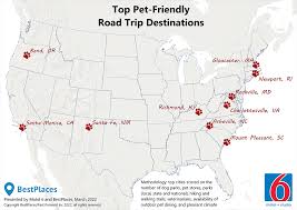 top pet friendly road trip destinations