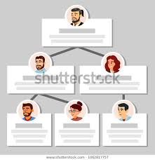 Business Organization Chart Template Hierarchical
