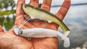 6 Choices For Weighted Hook Vs Jighead On Swimbaits