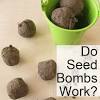 Story image for DIY Wildflower "Seed Bombs" Soil Seed Ratio from Crafting A Green World