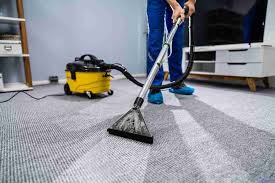 1 city wide carpet cleaners best