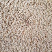 all american carpet cleaning 27