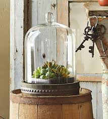 Rustic Terrarium Bell Dome Glass Cloche